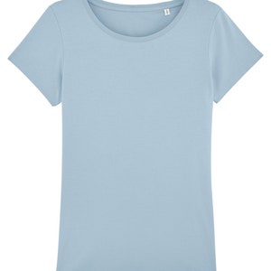 May include: A light blue short-sleeved t-shirt.