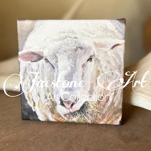 Sheep Mini Canvas Art Print 6X6