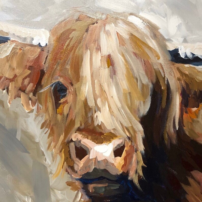 May include: A close-up of a Highland cow's face. The cow has long, shaggy, brown and white fur. The cow's nose is pink and its eyes are brown.