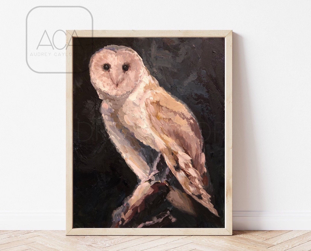 Owl Art, Owl Print, Barn Owl, Barn Owl Print, White Owl, Barn Owl Wall