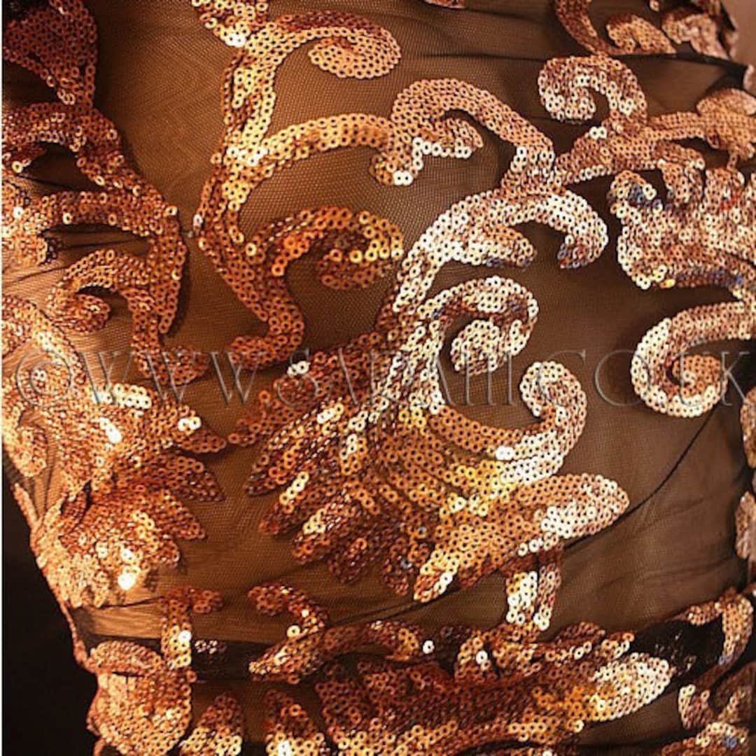 CC 25C Black Bronze Sequin Gold Hardware