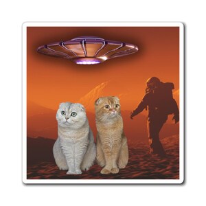 Funny Cat Magnet, Sarcastic Kitty Decal for Waterbottle or Laptop, Perfect Cat Lady Gift