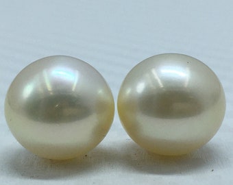 12.5 MM Tamaño AAA Lustre Perla Suelta Color Crema Botón Forma Perla Perla Natural del Mar del Sur