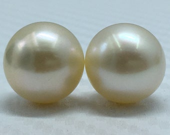 13,5 mm dimensione AA lucentezza perla sciolta colore crema forma bottone perle perle naturali dei mari del sud