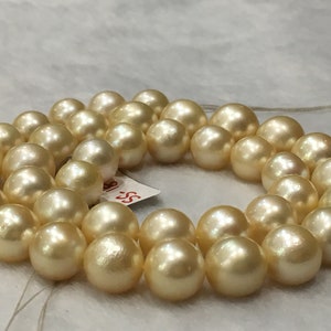 11-13.5 MM (Approx.)  Natural Real South Sea Pearl Necklace  Size Round Shape light golden Color Pearl String Luster Good Personalized Gift