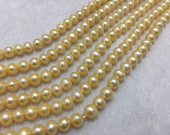 5.5-6 mm Size |Beautiful Freshwater pearl String  Light Golden Color | Oval Shape | 16 Inch Length