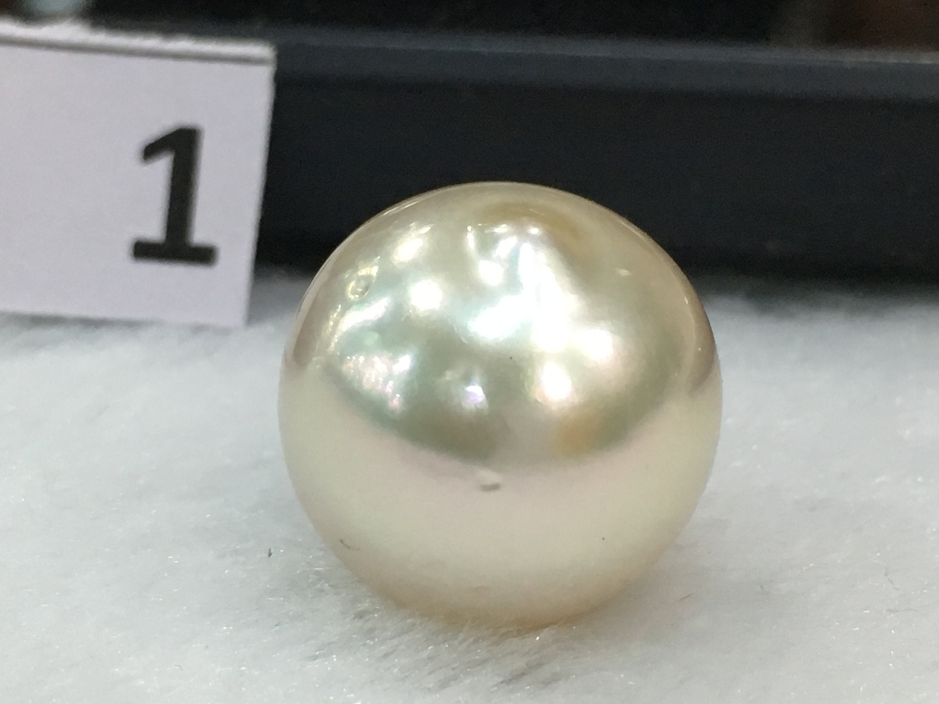 Amazing Giant Pearl Excellent Quality Indonesia South Sea Off Etsy
