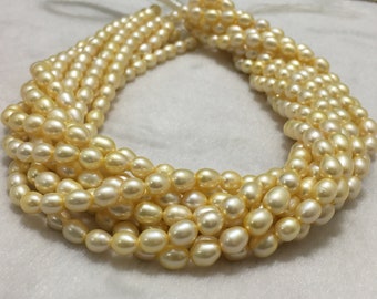 6.5-7 mm (Approx.) Size Beautiful Real Freshwater pearl Strand |  Light yellow Color | Rice Shape Good Luster 16 inch Length Personable GIft