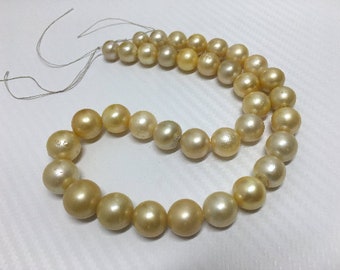 9.5-15 mm Light Golden Round Natural South Sea Pearl Strand Necklace Salt water real pearl Necklace 17 Inch