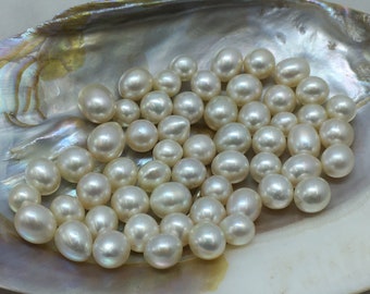 8-10.5 MM Size (Approx.)  AA Luster Loose Pearl White\Cream Color Button\Drop\ Shape Pearl beads Natural Real South Sea Pearl