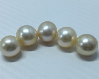 Perle sciolte lucide di dimensioni AA da 13,5 mm Crema\Bottone color oro chiaro\Goccia\Perle di forma ovale Perla naturale dei Mari del Sud