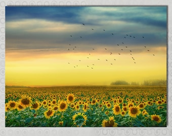 Sunflower Field Sunset Canvas Print: Birds in Flight, Multi Panel Wall Art
