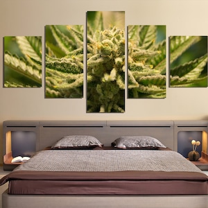 Marijuana Cannabis 420 5 pezzi Tela Wall Art Immagini Immagini Carta da parati Decorazione murale Design Opera d'arte Poster Decor Stampe Dipinti Foto
