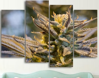 Marijuana Ganja Weed Cannabis 420  1, 2, 3, 4 & 5 Piece Canvas Wall Art Decor Posters Photos Prints Artwork Wallpaper Pictures Multi Panel