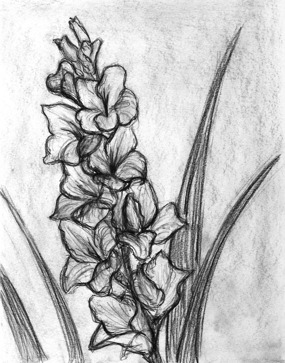 Backyard Flower Sketch Charcoal Drawing Print