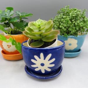 May include: Three ceramic flower pots in orange, blue, and turquoise, each with a matching saucer. The pots feature white floral designs and contain various green plants. The pots are of different sizes.