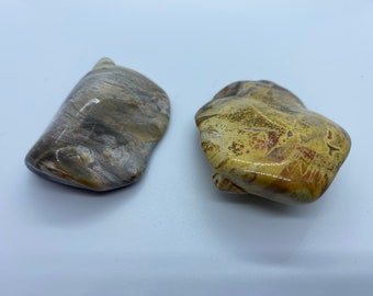 Lovely Palm Tree Petrified Wood Carved into Heart Polished 44mm 155ct Natural Fossilized Palmoxylon Agate Gemstone Crystal Mineral Specimen