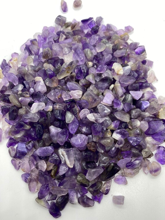 BABY  Frontiers | A synbiotic mixture of Bifidobacterium breve M16