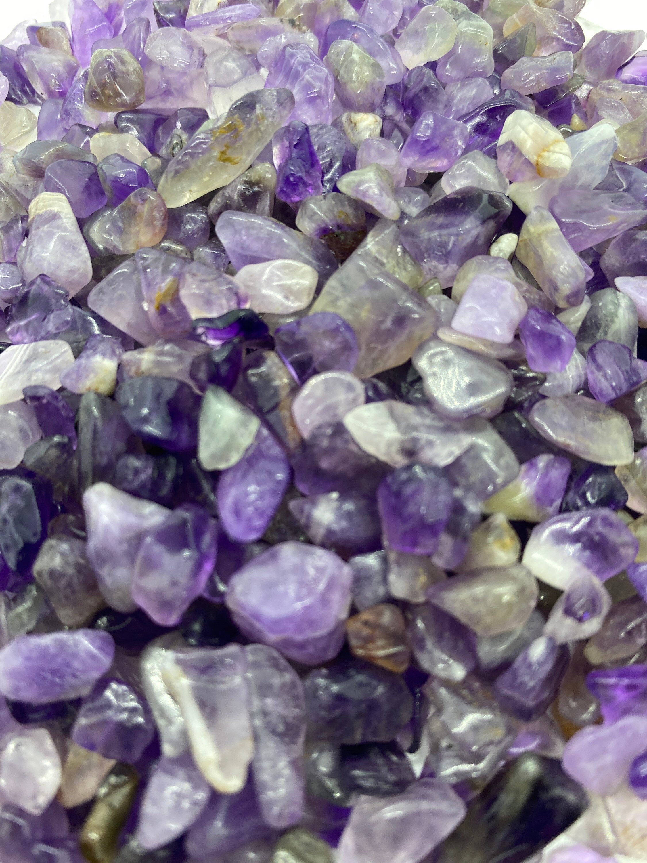 BABY  Frontiers | A synbiotic mixture of Bifidobacterium breve M16