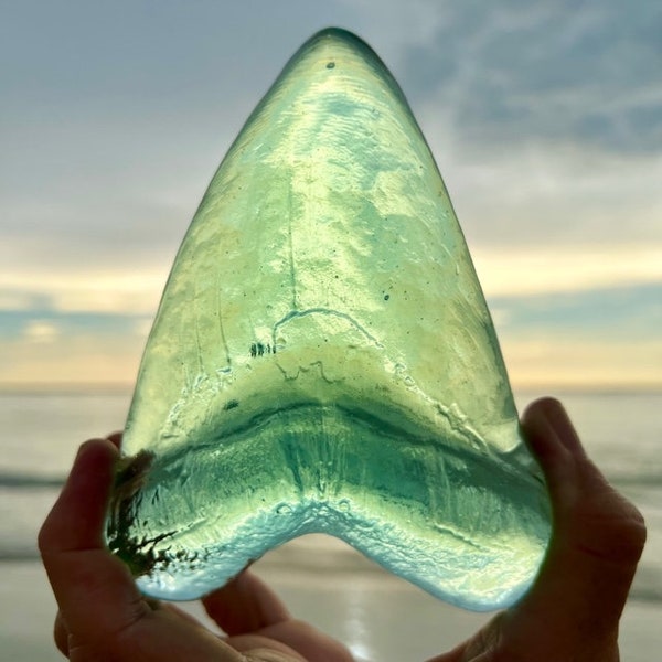 Sea Foam Green Hand Made Recycled Glass Megalodon Shark Tooth ***with Stand*** Fossil Meg Sculpture