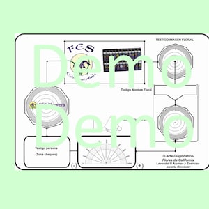 Pendulum Dowsing Chart-California flowers-Radionics table-Radionic Table California Essences + Healing Cards Codes (vibrational codes)