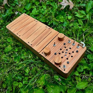 Puede incluir: Un dispositivo electrónico rectangular de madera con un panel liso en un lado y una interfaz de control en el otro. La interfaz incluye tres perillas circulares de madera, cuatro interruptores metálicos y una rejilla de orificios.