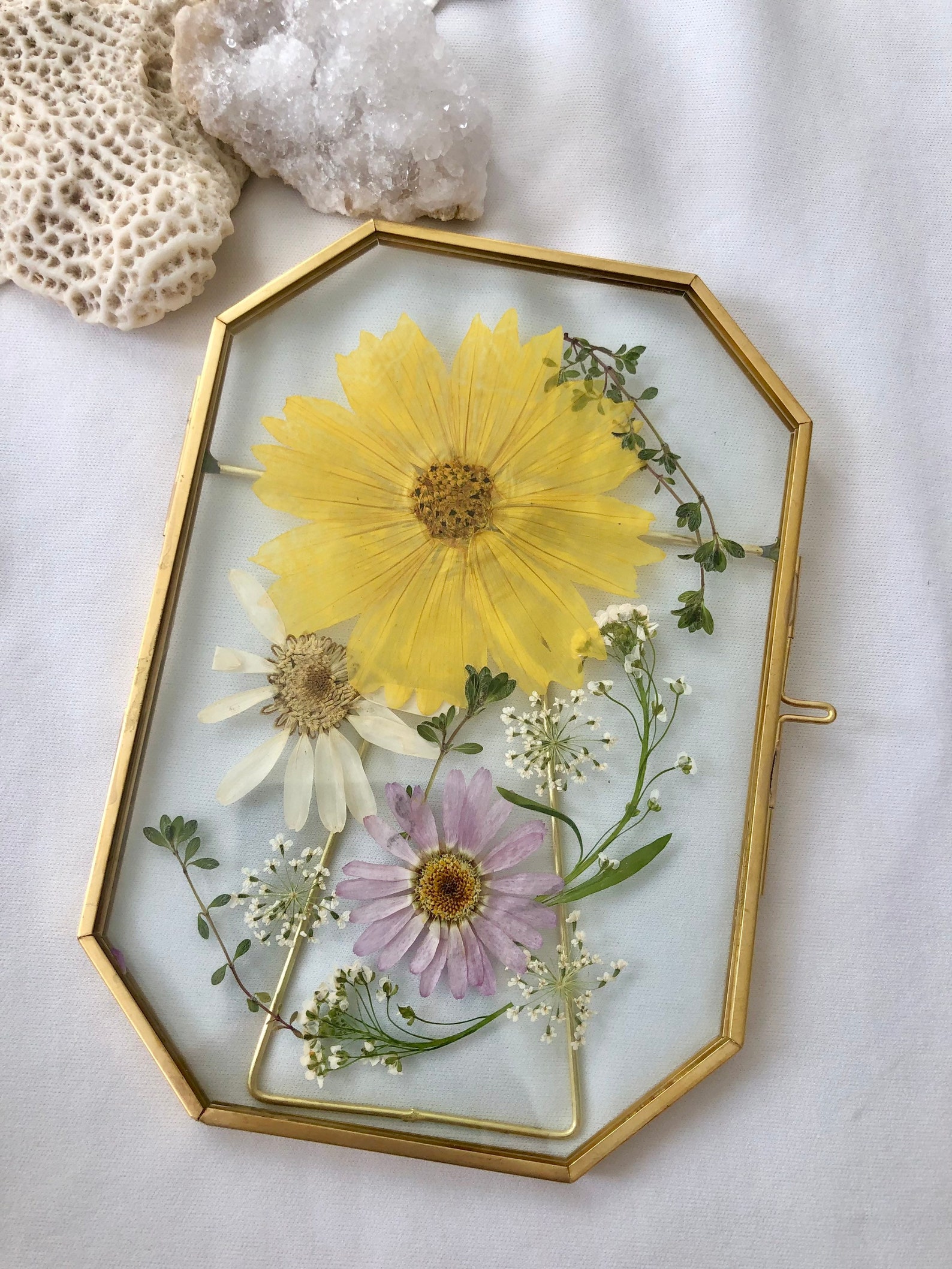 Sunflower Pressed Flowers Frame Pressed Dried Flower Frame Etsy
