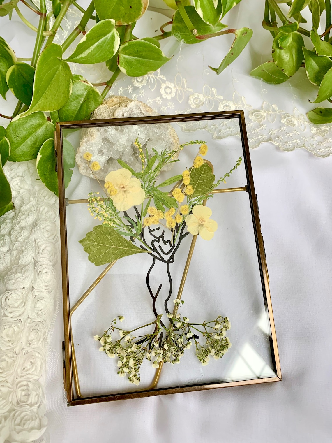Mother Nature Tree of Life Nature Gift Pressed Dried Flower Etsy