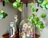 Artículos de esta tienda