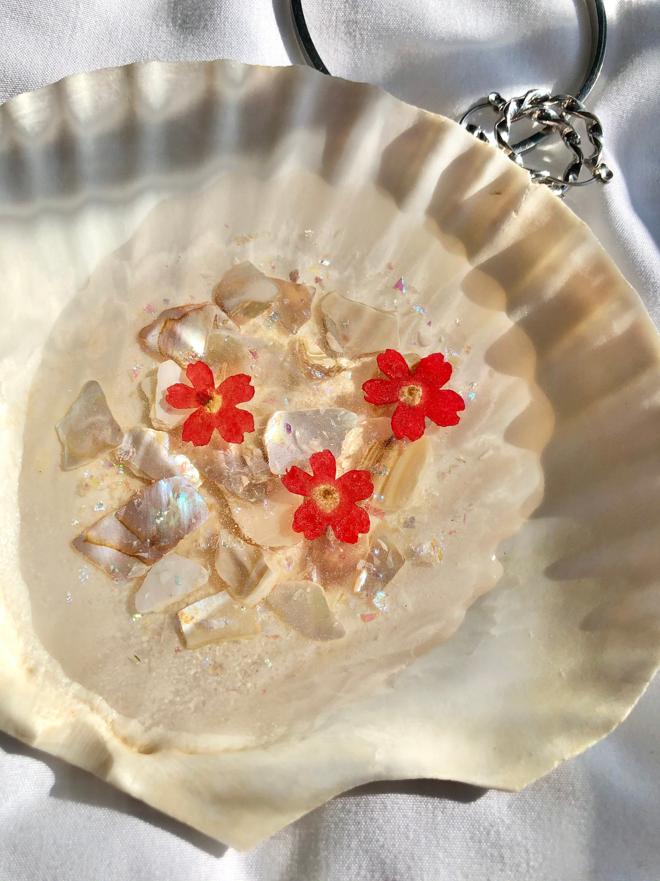 Beach Sea Shell Jewelry Tray Pressed Flowers Etsy