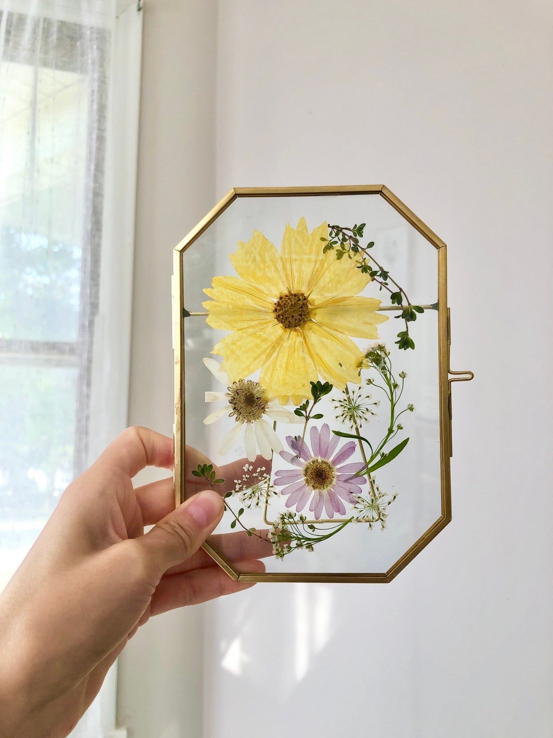Sunflower Pressed Flowers Frame Pressed Dried Flower Frame Etsy
