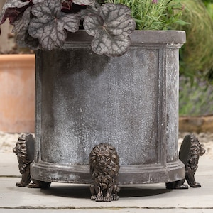 Bronze Lion Plant Pot Feet - Set of 3 | Handcrafted Homen and Garden Decor | British Design