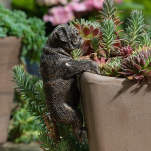 Pode incluir: Uma figurinha de pug de cor bronze agarra-se ao lado de um vaso de terracota. O vaso está cheio de suculentas e outras plantas verdes.