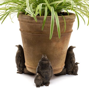 May include: A terracotta planter with a green and white striped plant. The planter is decorated with four bronze penguin figurines.