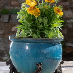 Könnte beinhalten: Türkisfarbener Keramik-Blumentopf mit glänzendem Finish, gefüllt mit leuchtend gelben und orangefarbenen Blumen. Der Topf wird von drei dekorativen schwarzen Schnauzer-Hundefiguren getragen, die der Gartendekoration eine skurrile Note verleihen.