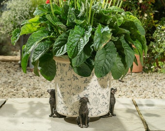 Bronze Labrador Potty Feet, Set of 3, Gift Boxed, Antique Decor, Plant Pot Stand, Plant Pot Decor, Plant Pot Decoration, Garden Decor, Yard