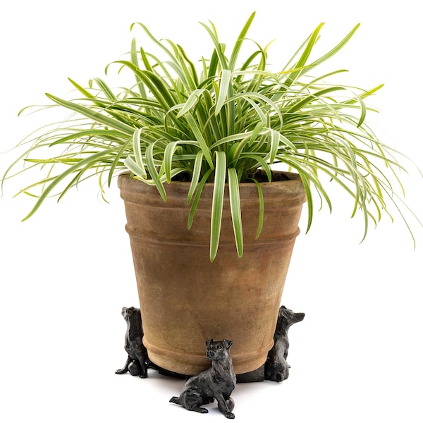 Bronze, Jack Russell Terrier Potty Feet, Set of 3, Plant Pot Stand, Antique Decor, Pot Stand, Plant Pot Decor, Plant Pot Decoration, Garden