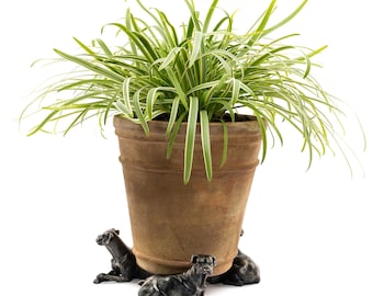 Bronze Boxer Dog Potty Feet, Set of 3, Plant Pot Stand, Antique Decor, Pot Stand, Plant Pot Decor, Plant Pot Decoration, Garden Decor, Yard