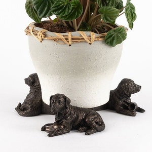 May include: Three black Labrador Retriever dog figurines are used as plant pot feet. The dogs are in different poses, one is sitting, one is lying down, and one is standing. The pot is white with a woven straw base.