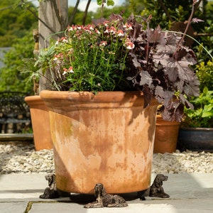 May include: A terracotta planter with a variety of plants, including white flowers and dark green foliage. The planter is decorated with four small, decorative dog figurines.
