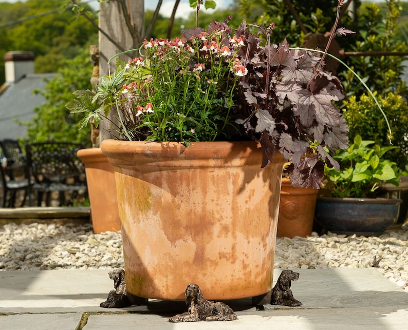 May include: A terracotta planter with a variety of plants, including white flowers and dark green foliage. The planter is decorated with four small, decorative dog figurines.