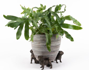 Bronze Pug Potty Feet, Set of 3, Plant Pot Stand, Plant Pot Decor, Plant Pot Decoration, Antique Decor, Yard Decor, Yard Decoration, Yard
