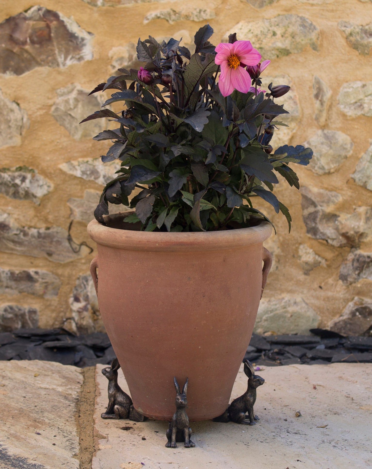 Hare Potty Feet Plant Pot Feet Antique Bronze Colour Gift Etsy