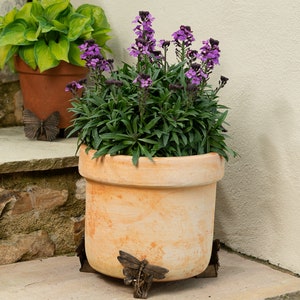 Puede incluir: Una maceta de terracota con flores moradas se asienta sobre un juego de soportes decorativos para plantas con forma de mariposa. La maceta est&aacute; en un escal&oacute;n de piedra con una pared blanca en el fondo.