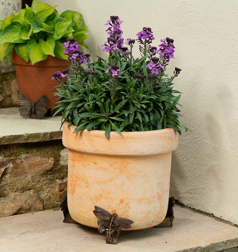 Puede incluir: Una maceta de terracota con flores moradas se asienta sobre un juego de soportes decorativos para plantas con forma de mariposa. La maceta est&aacute; en un escal&oacute;n de piedra con una pared blanca en el fondo.
