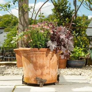 Puede incluir: Una maceta de terracota con una base de metal decorativa se encuentra en un patio. La maceta est&aacute; llena de una variedad de plantas, incluyendo flores rosas y blancas y follaje verde oscuro.