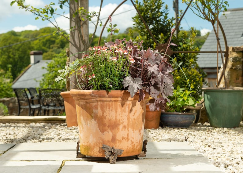 Puede incluir: Una maceta de terracota con una base de metal decorativa se encuentra en un patio. La maceta est&aacute; llena de una variedad de plantas, incluyendo flores rosas y blancas y follaje verde oscuro.