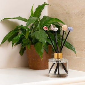 Può includere: Un flacone diffusore in vetro trasparente con tappo dorato e bastoncini diffusori neri. La bottiglia è decorata con conchiglie colorate. Il diffusore è appoggiato su un piano di lavoro bianco accanto a una pianta in vaso.