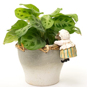 May include: A green potted plant with large, patterned leaves in a grey ceramic pot with a woven wicker rim. A small figurine of a girl in a white dress and yellow skirt is climbing the side of the pot.