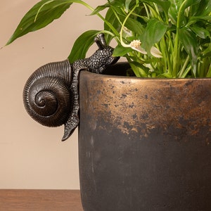 May include: A black and gold ceramic planter with a bronze snail sculpture attached to the side. The planter is filled with a green plant with white flowers.